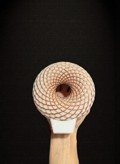 Auraflow Méson | Rodin Vortex Coil (144mm) | PEMF | Scalar Wave | High Voltage, Pain Relief